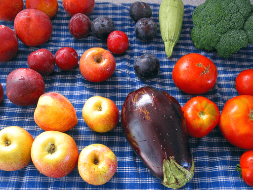 Five Tips for a Healthy Life